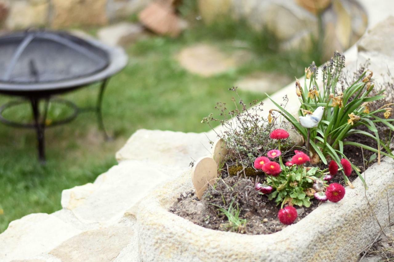 Ubytovani Na Vejminku Rtyne v Podkrkonosi Ngoại thất bức ảnh